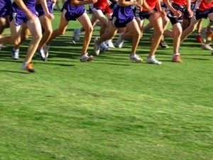 runners starting a race