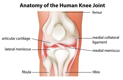 MCL Injury is a common knee injury