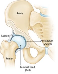 Hip Joint Injuries in Athletes