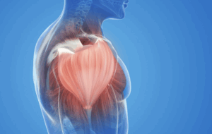 Sports Shoulder Muscle and Joint Injury
